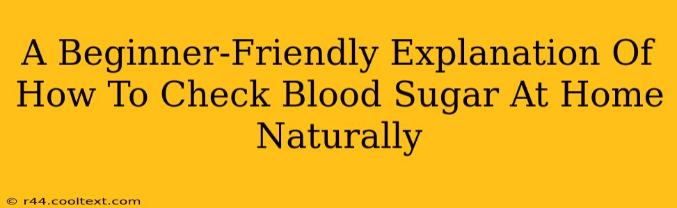 A Beginner-Friendly Explanation Of How To Check Blood Sugar At Home Naturally