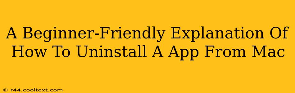 A Beginner-Friendly Explanation Of How To Uninstall A App From Mac