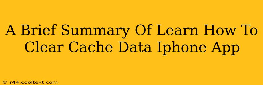 A Brief Summary Of Learn How To Clear Cache Data Iphone App