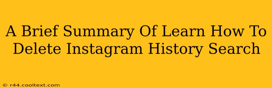 A Brief Summary Of Learn How To Delete Instagram History Search