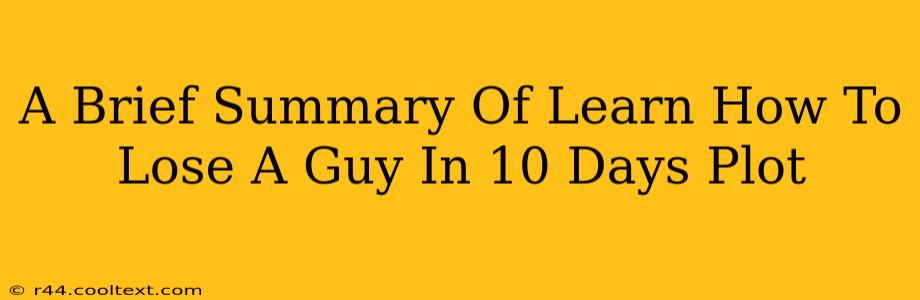 A Brief Summary Of Learn How To Lose A Guy In 10 Days Plot