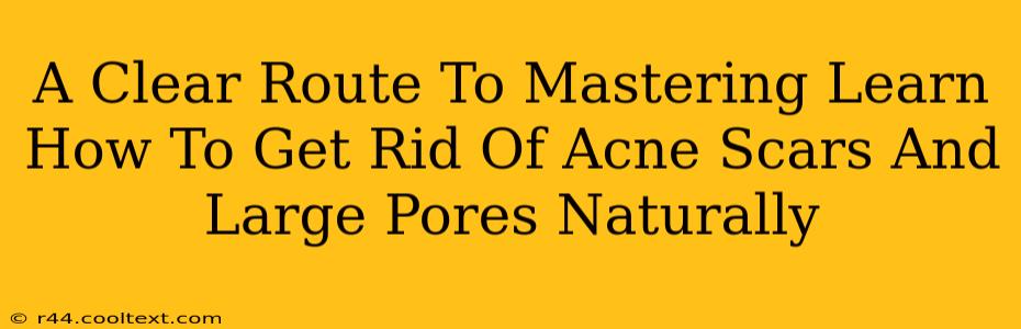 A Clear Route To Mastering Learn How To Get Rid Of Acne Scars And Large Pores Naturally