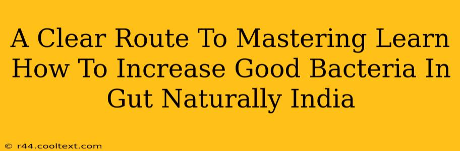 A Clear Route To Mastering Learn How To Increase Good Bacteria In Gut Naturally India