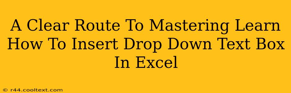 A Clear Route To Mastering Learn How To Insert Drop Down Text Box In Excel