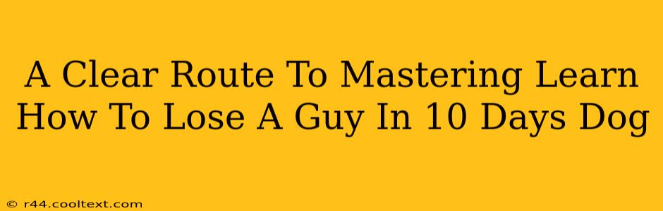 A Clear Route To Mastering Learn How To Lose A Guy In 10 Days Dog