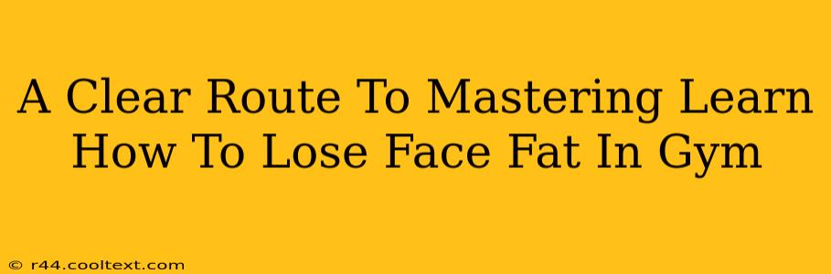 A Clear Route To Mastering Learn How To Lose Face Fat In Gym