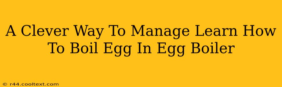 A Clever Way To Manage Learn How To Boil Egg In Egg Boiler