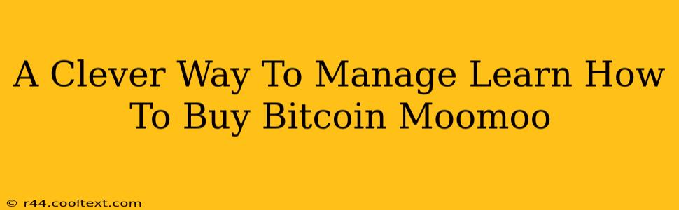 A Clever Way To Manage Learn How To Buy Bitcoin Moomoo