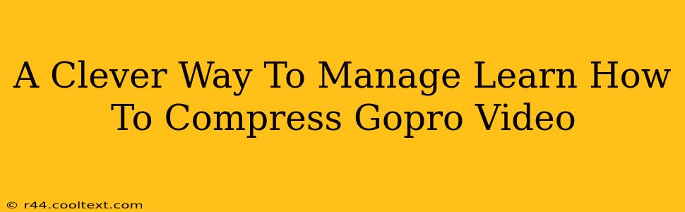 A Clever Way To Manage Learn How To Compress Gopro Video