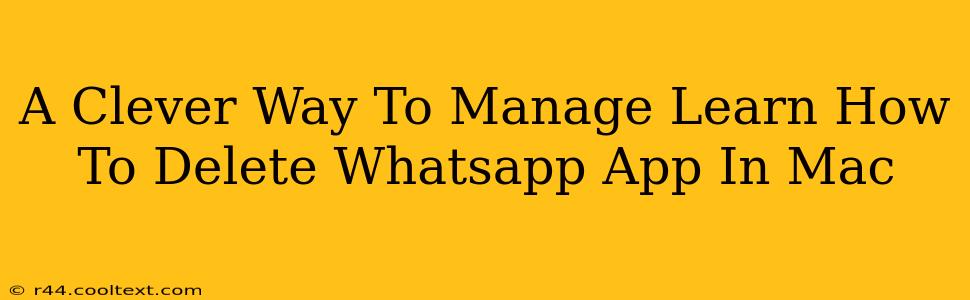 A Clever Way To Manage Learn How To Delete Whatsapp App In Mac