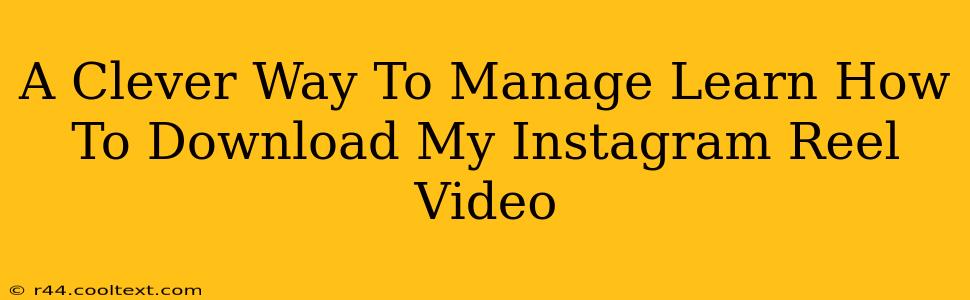 A Clever Way To Manage Learn How To Download My Instagram Reel Video