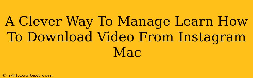 A Clever Way To Manage Learn How To Download Video From Instagram Mac