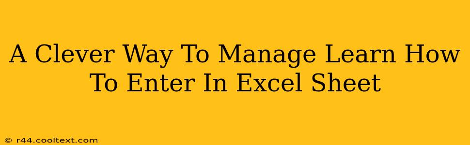 A Clever Way To Manage Learn How To Enter In Excel Sheet