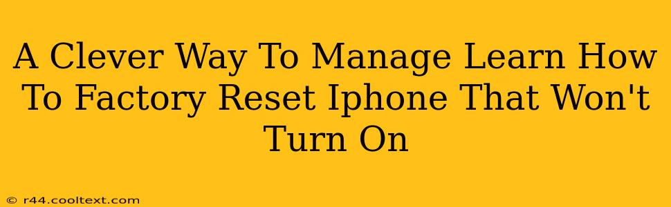 A Clever Way To Manage Learn How To Factory Reset Iphone That Won't Turn On