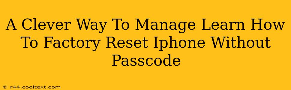 A Clever Way To Manage Learn How To Factory Reset Iphone Without Passcode