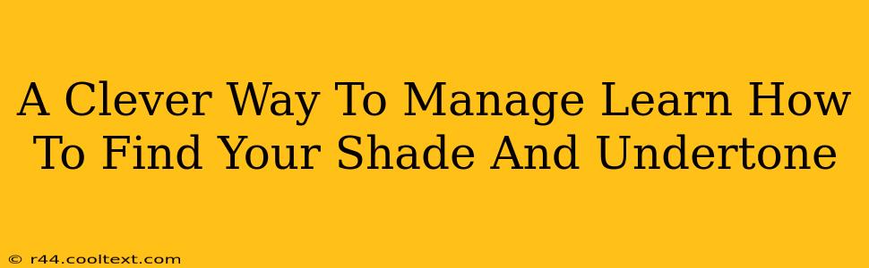 A Clever Way To Manage Learn How To Find Your Shade And Undertone