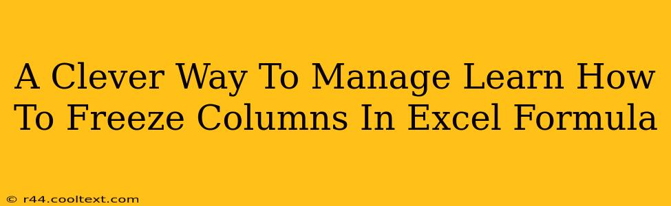 A Clever Way To Manage Learn How To Freeze Columns In Excel Formula