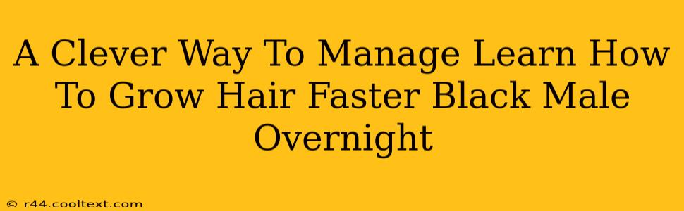 A Clever Way To Manage Learn How To Grow Hair Faster Black Male Overnight