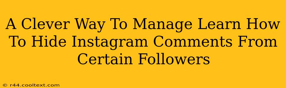 A Clever Way To Manage Learn How To Hide Instagram Comments From Certain Followers