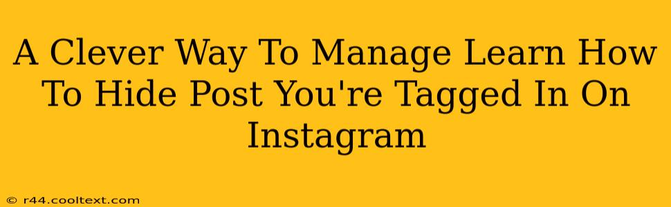 A Clever Way To Manage Learn How To Hide Post You're Tagged In On Instagram