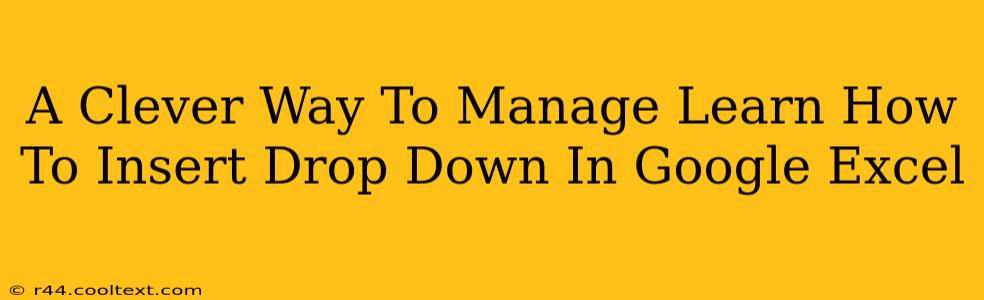 A Clever Way To Manage Learn How To Insert Drop Down In Google Excel