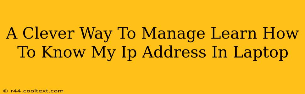 A Clever Way To Manage Learn How To Know My Ip Address In Laptop