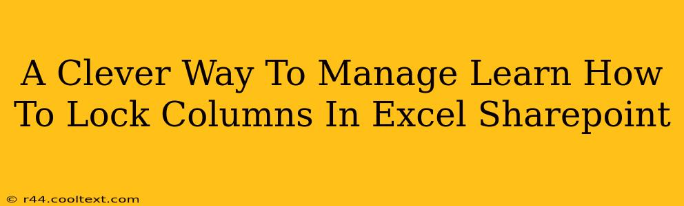 A Clever Way To Manage Learn How To Lock Columns In Excel Sharepoint