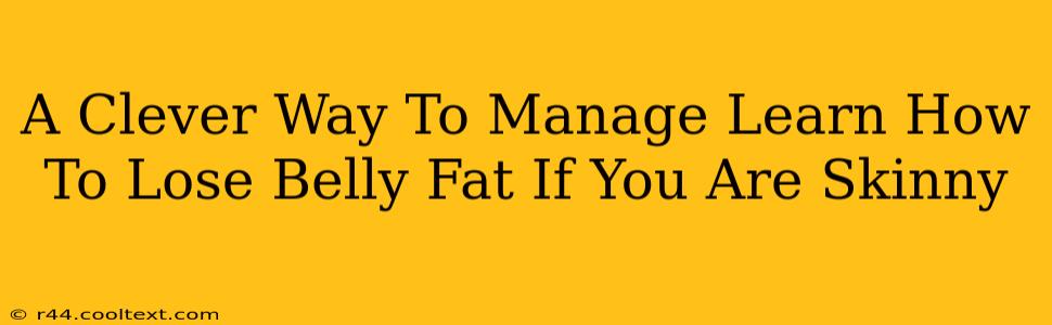 A Clever Way To Manage Learn How To Lose Belly Fat If You Are Skinny