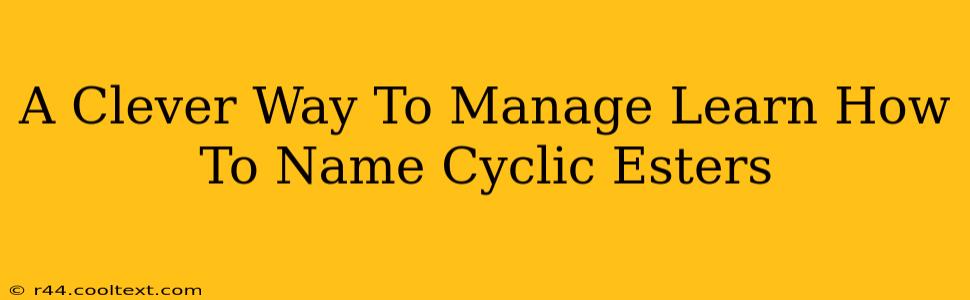 A Clever Way To Manage Learn How To Name Cyclic Esters