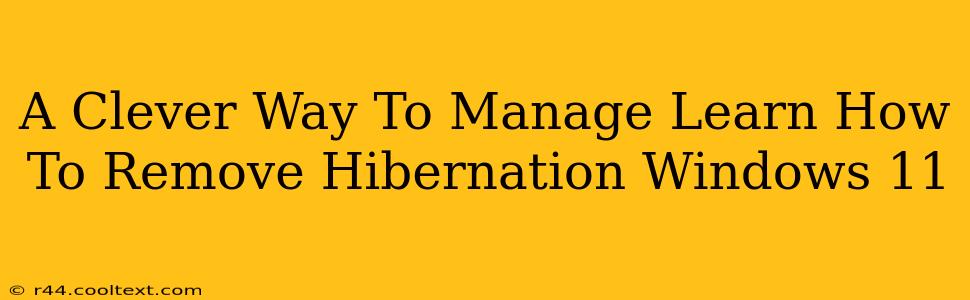 A Clever Way To Manage Learn How To Remove Hibernation Windows 11