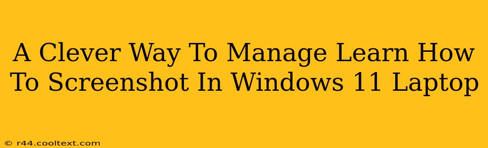 A Clever Way To Manage Learn How To Screenshot In Windows 11 Laptop