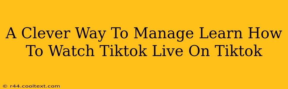 A Clever Way To Manage Learn How To Watch Tiktok Live On Tiktok