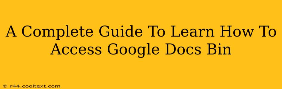 A Complete Guide To Learn How To Access Google Docs Bin