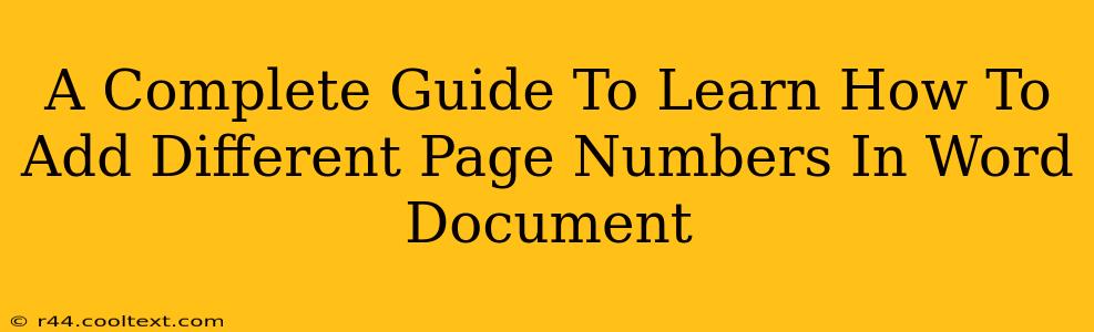 A Complete Guide To Learn How To Add Different Page Numbers In Word Document