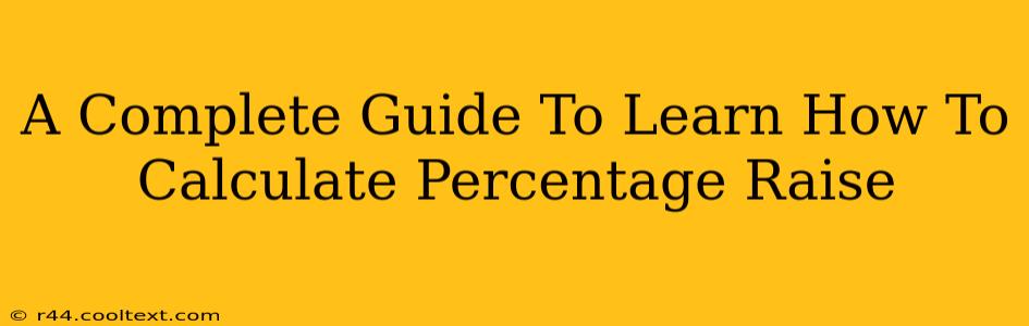 A Complete Guide To Learn How To Calculate Percentage Raise