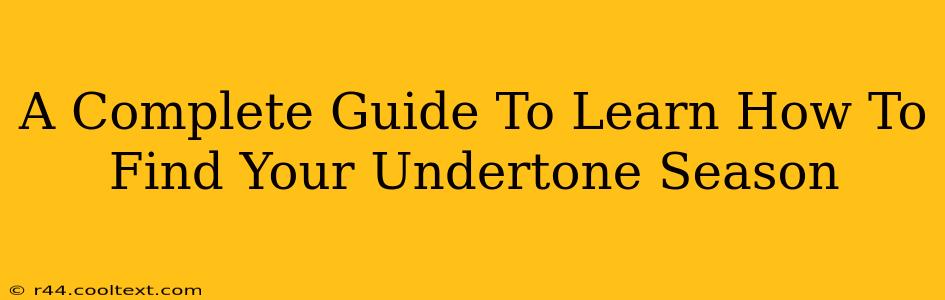 A Complete Guide To Learn How To Find Your Undertone Season