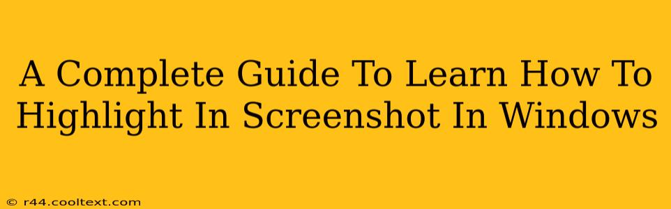 A Complete Guide To Learn How To Highlight In Screenshot In Windows