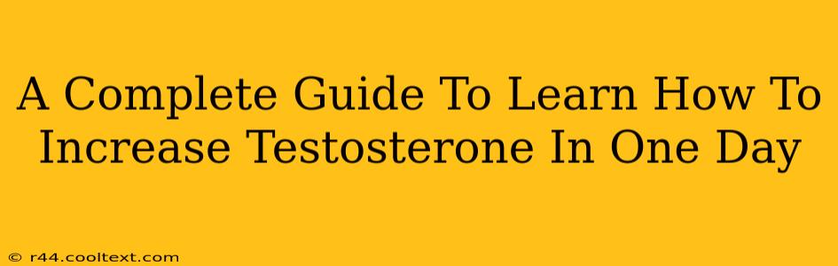 A Complete Guide To Learn How To Increase Testosterone In One Day