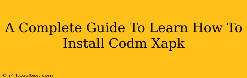 A Complete Guide To Learn How To Install Codm Xapk