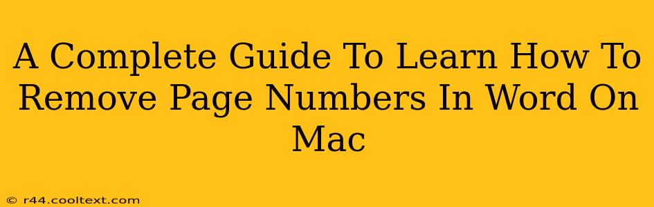 A Complete Guide To Learn How To Remove Page Numbers In Word On Mac