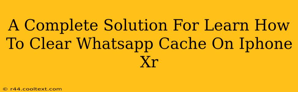 A Complete Solution For Learn How To Clear Whatsapp Cache On Iphone Xr