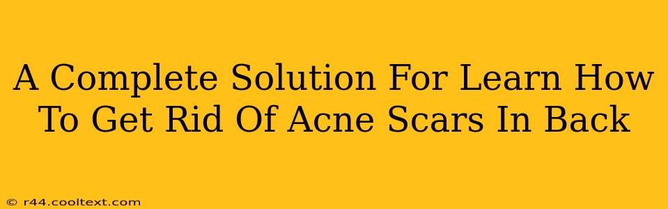 A Complete Solution For Learn How To Get Rid Of Acne Scars In Back