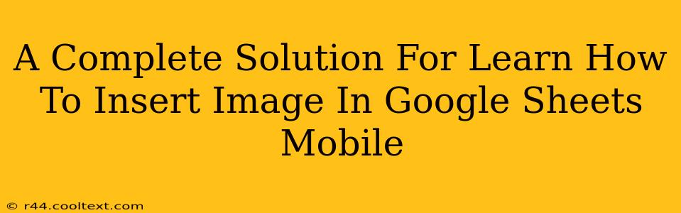 A Complete Solution For Learn How To Insert Image In Google Sheets Mobile