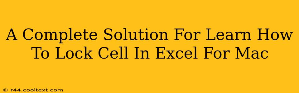 A Complete Solution For Learn How To Lock Cell In Excel For Mac