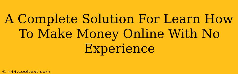 A Complete Solution For Learn How To Make Money Online With No Experience