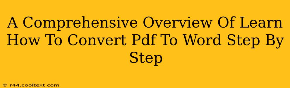 A Comprehensive Overview Of Learn How To Convert Pdf To Word Step By Step