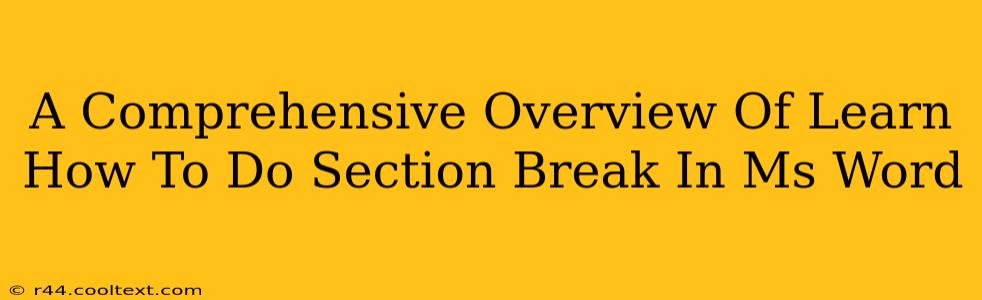 A Comprehensive Overview Of Learn How To Do Section Break In Ms Word