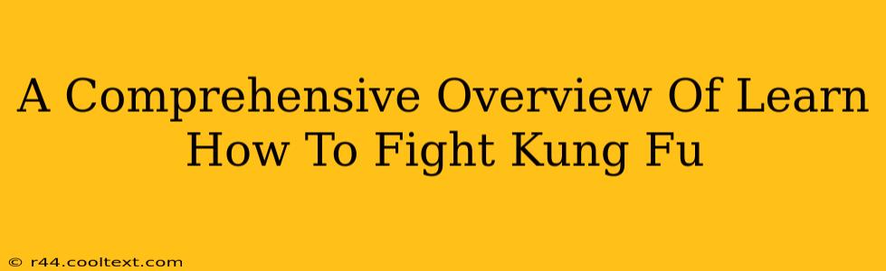 A Comprehensive Overview Of Learn How To Fight Kung Fu