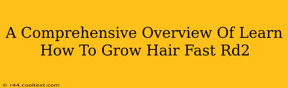 A Comprehensive Overview Of Learn How To Grow Hair Fast Rd2