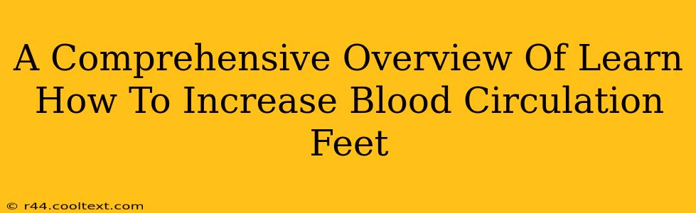 A Comprehensive Overview Of Learn How To Increase Blood Circulation Feet